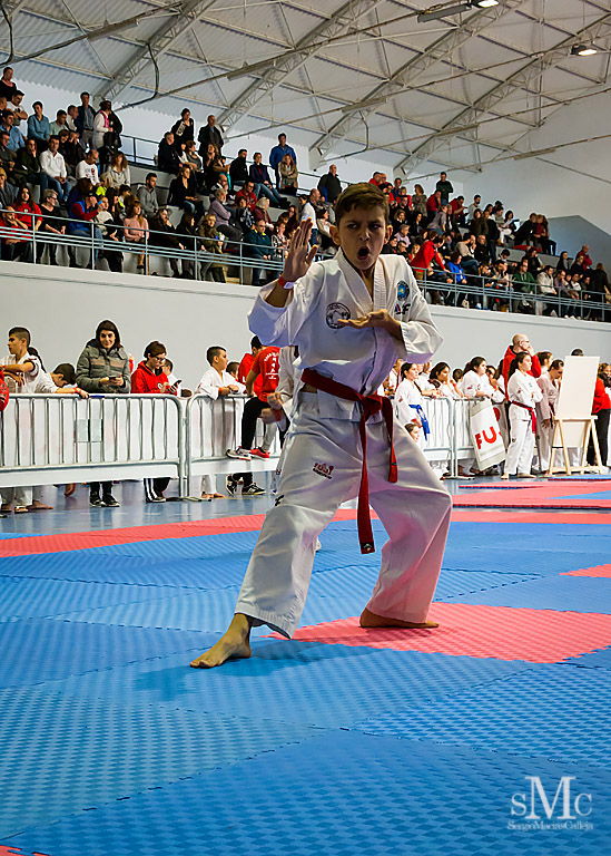 COPA SEUL, 2017  (58).JPG